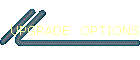 UPGRADE  OPTIONS